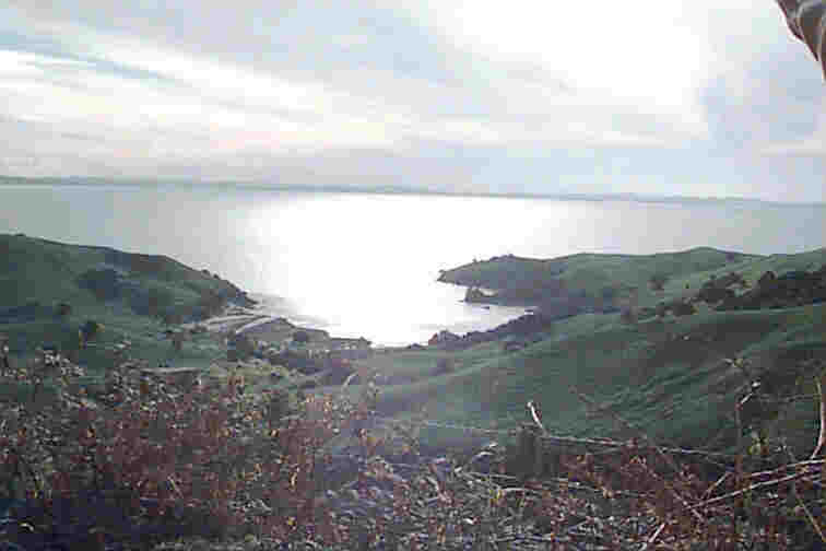 Coromandel Peninsula, New Zealand