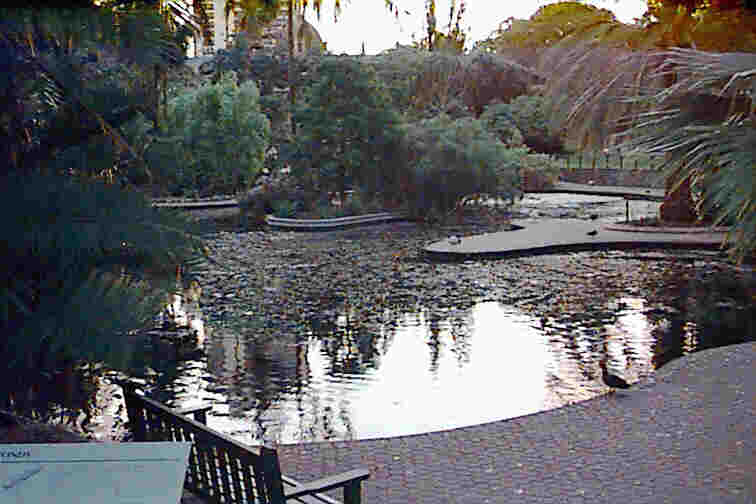 Royal Botanical Gardens, Brisbane