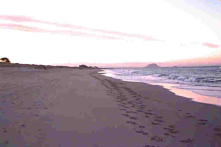 Mt. Maunganui at sunset