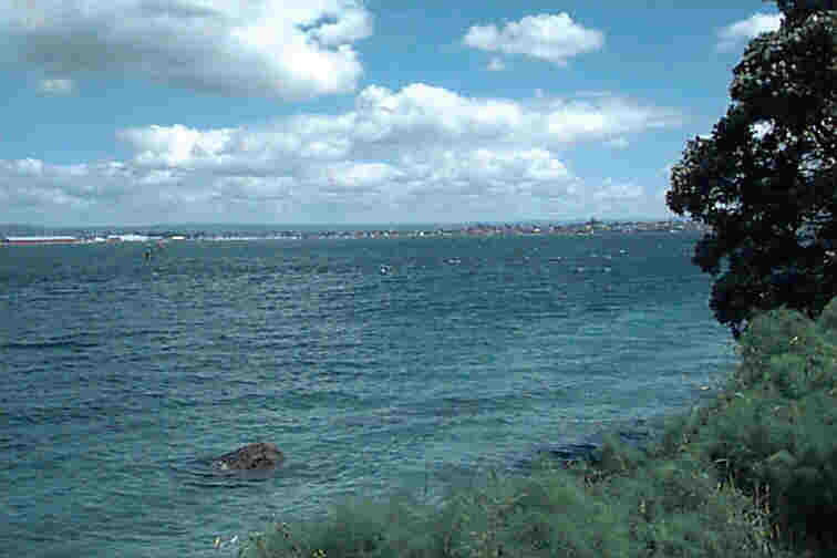 Tauranga Bay