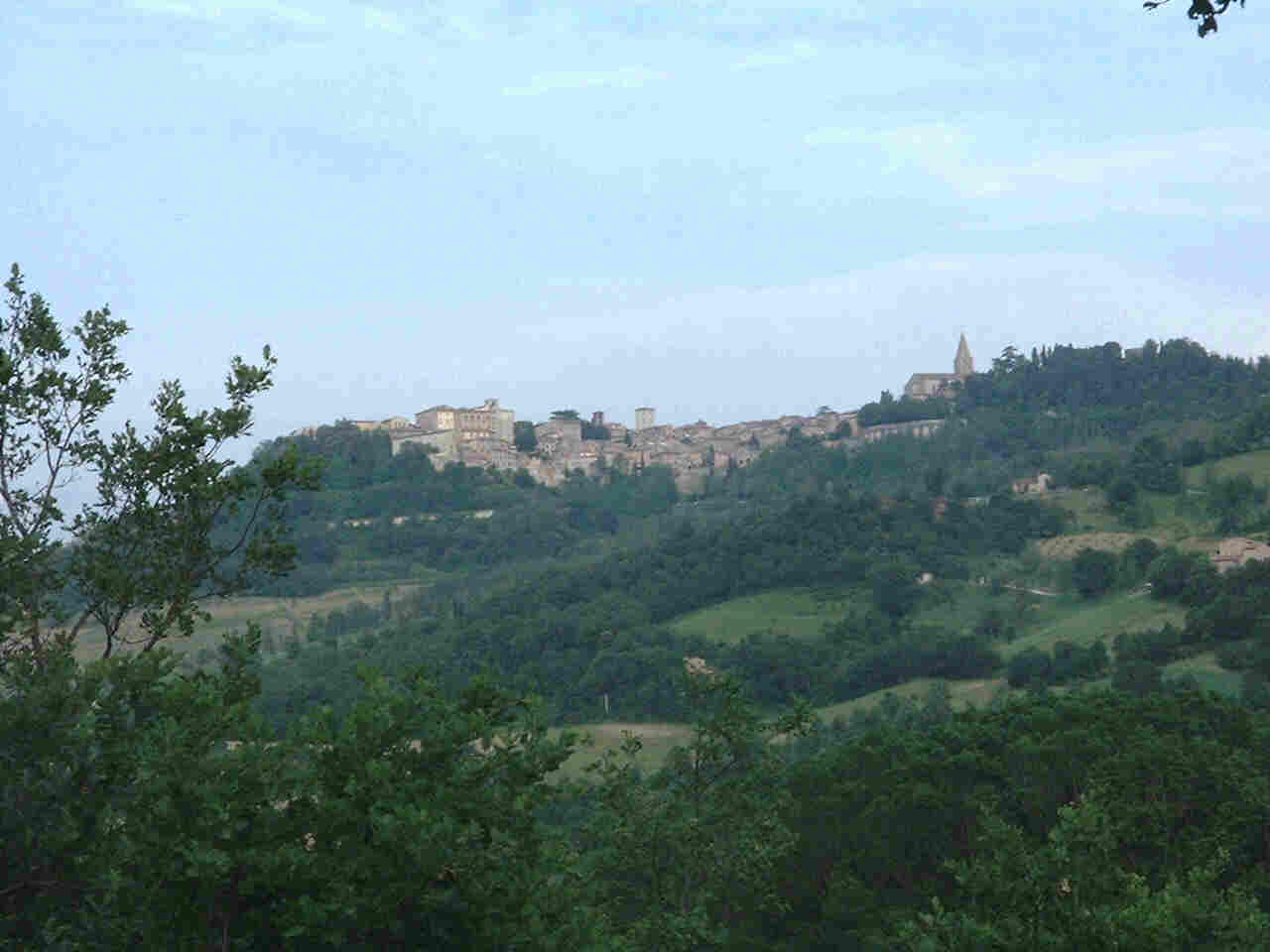 Todi