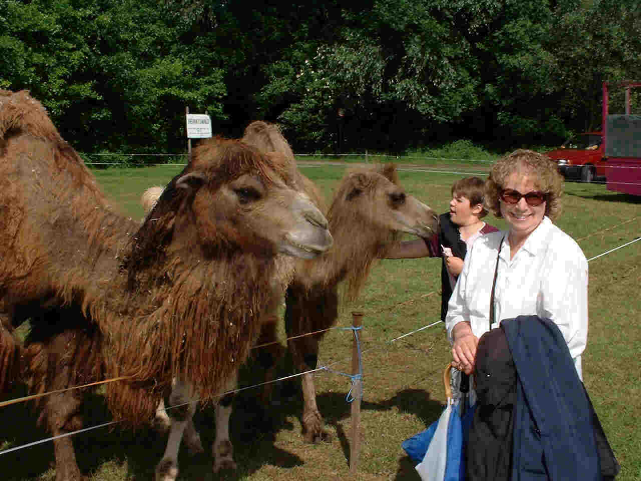 Margene and the camels